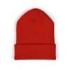10349090200563868843_2048.jpeg Embroidered Classic Cuffed Beanie for Cozy Winter Days, Fashion Accessories, Gifts for Him/Her, Outdoor Activities, Casual Style