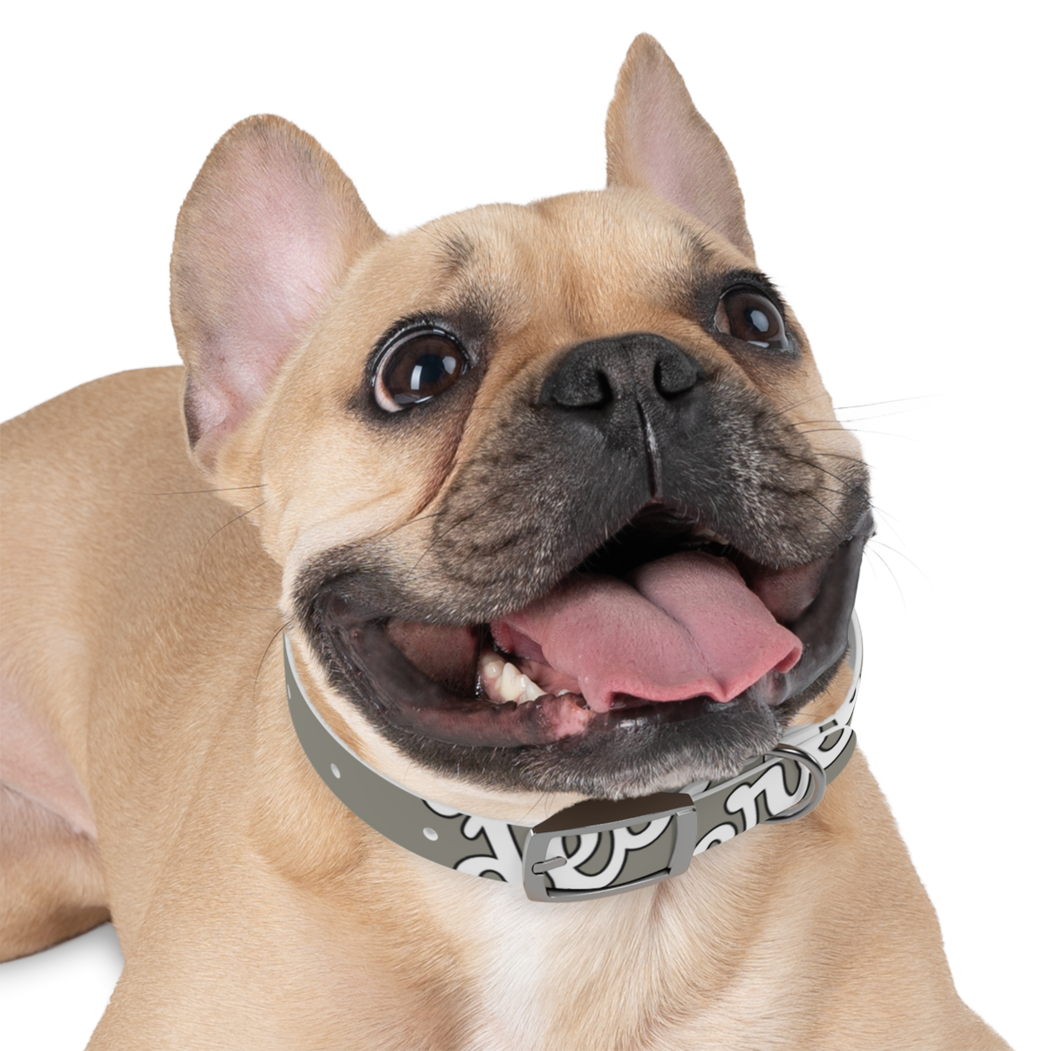 11831026645470844326_4096.webp Stylish Dog Collar for Pets, Unique Dog Accessory, Adjustable Pet Collar, Fun Pet Gift, Modern Fashion for Dogs