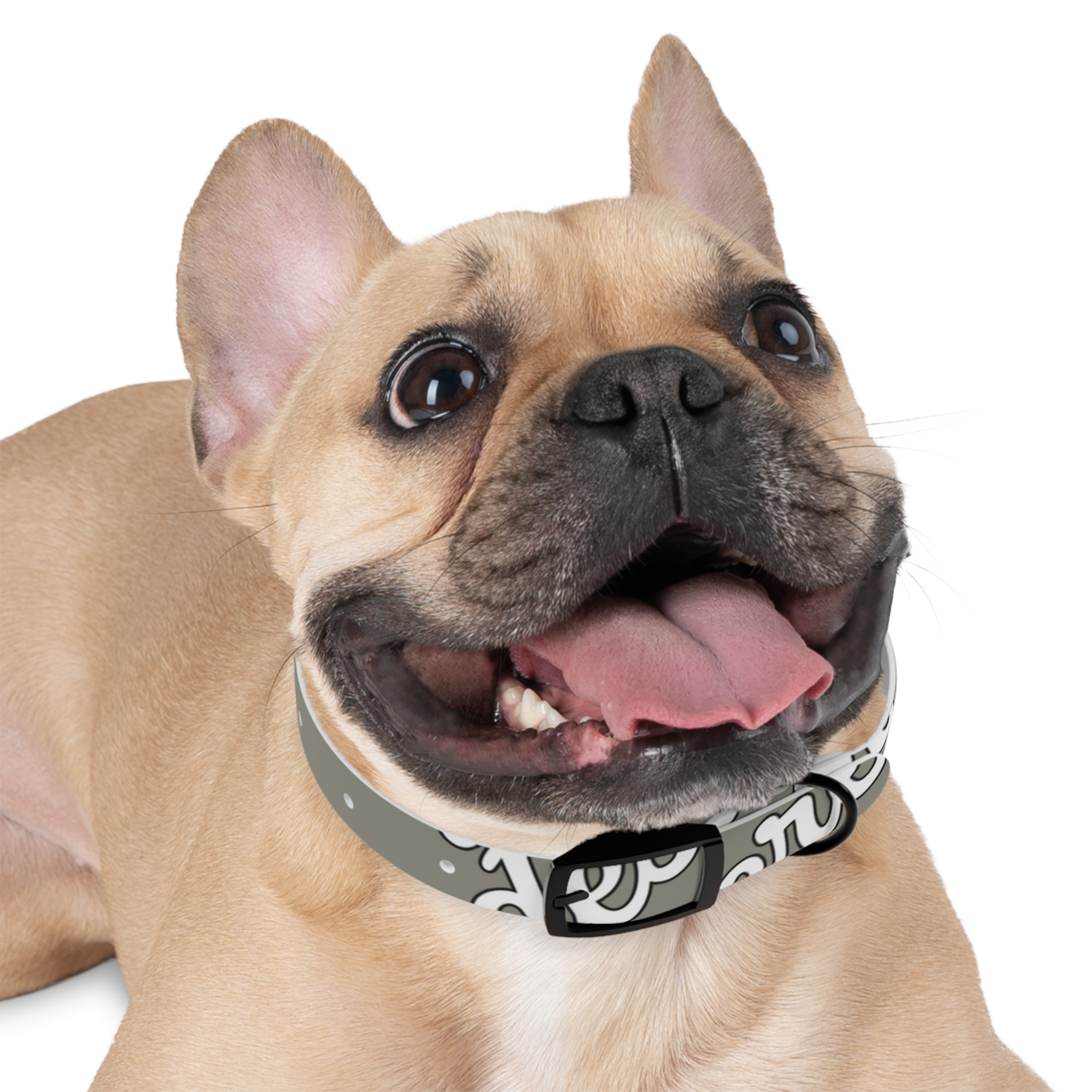 1392865932862900725_4096.webp Stylish Dog Collar for Pets, Unique Dog Accessory, Adjustable Pet Collar, Fun Pet Gift, Modern Fashion for Dogs