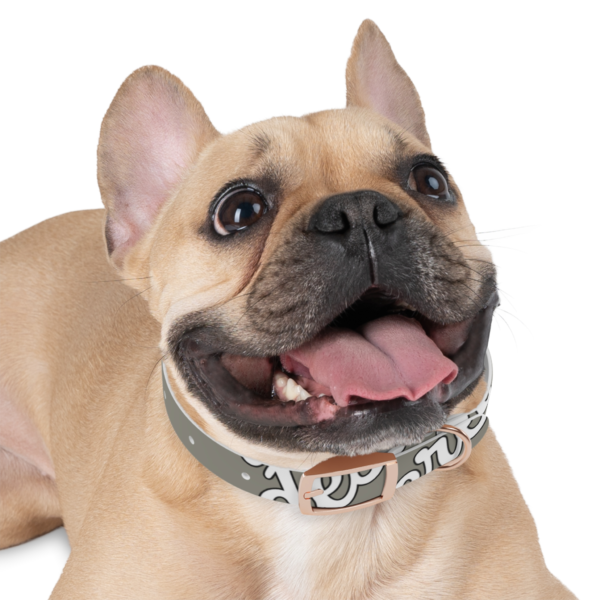 Stylish Dog Collar for Pets, Unique Dog Accessory, Adjustable Pet Collar, Fun Pet Gift, Modern Fashion for Dogs