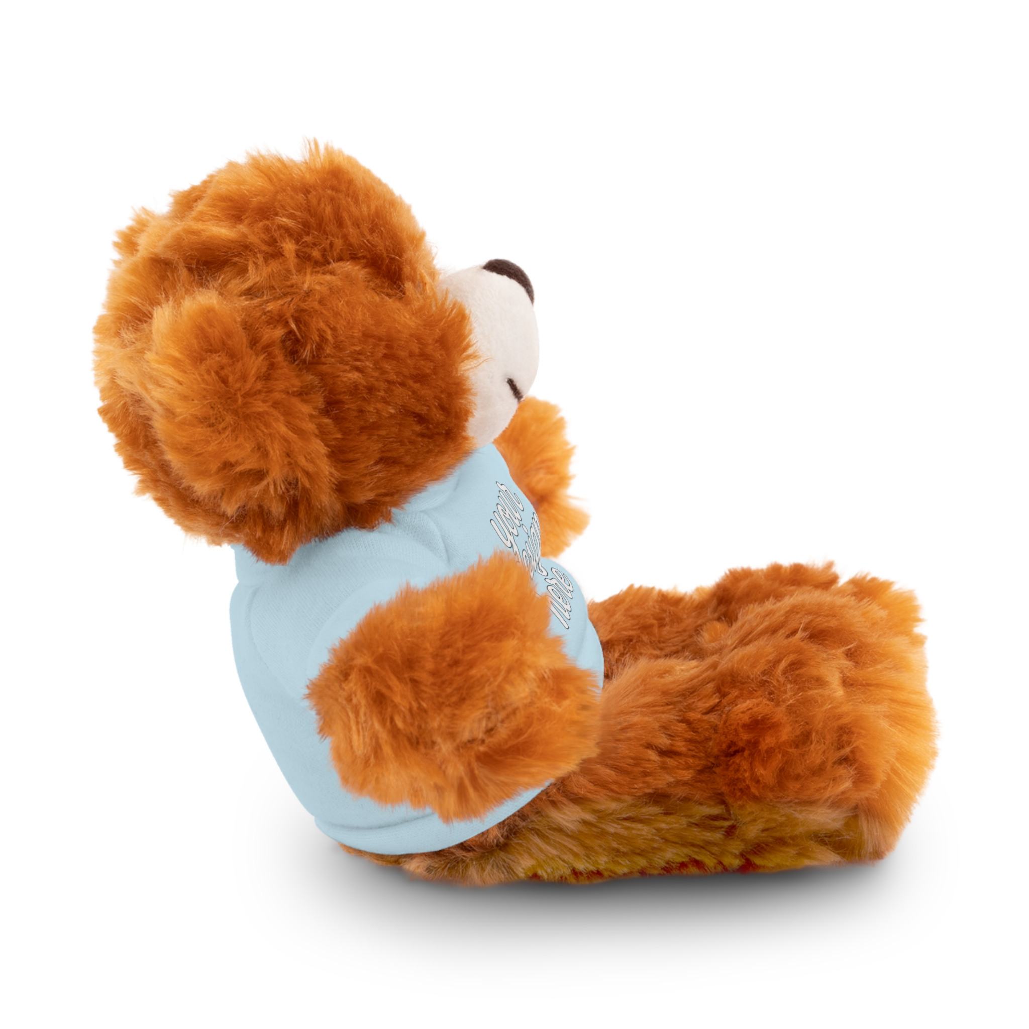 15112963721331198580_2048.webp Customizable Stuffed Animals - Personalized Teddy Bear with Tee, Gift for Kids, Birthday, Special Occasions, Cuddly Companion