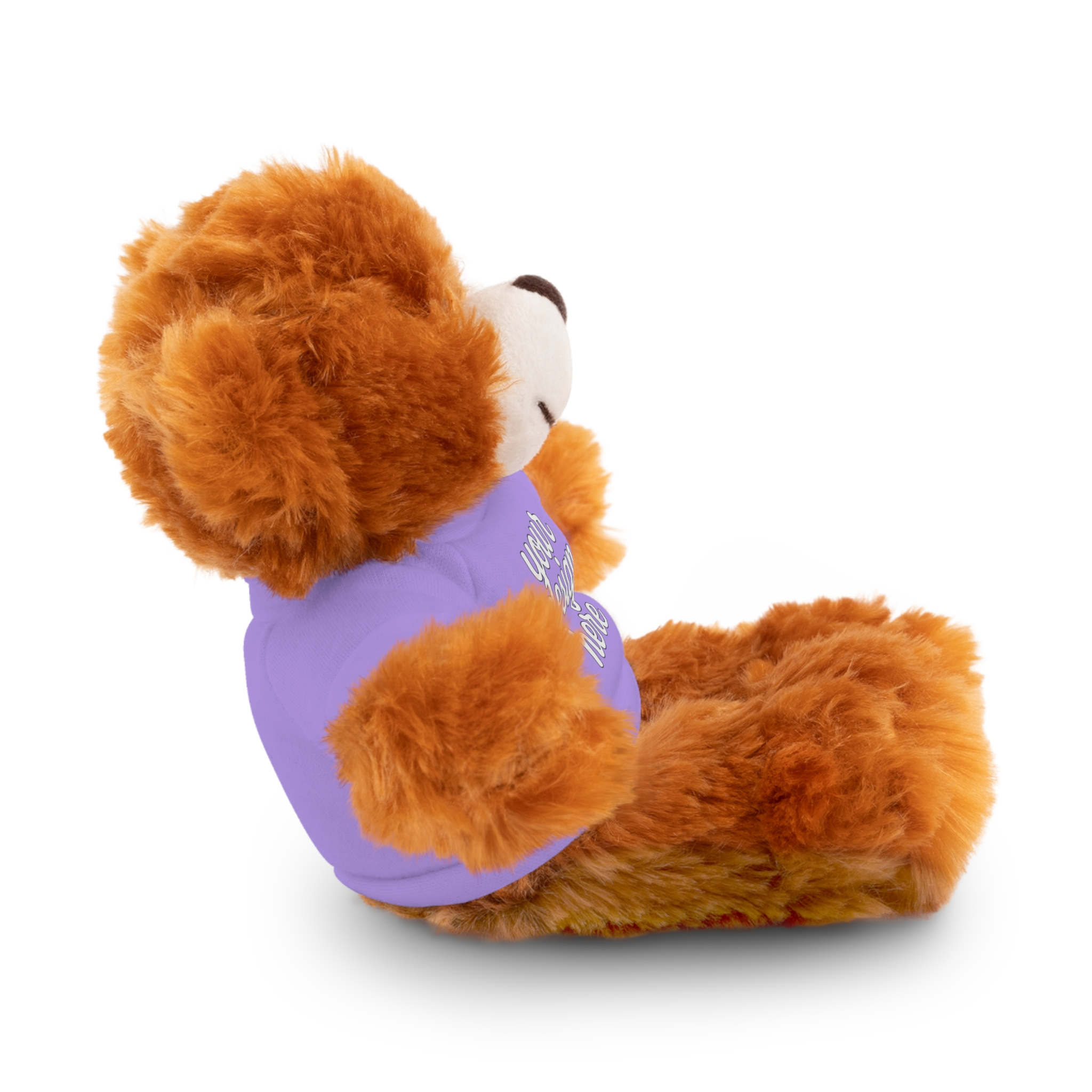 15475221239299536200_2048.webp Customizable Stuffed Animals - Personalized Teddy Bear with Tee, Gift for Kids, Birthday, Special Occasions, Cuddly Companion