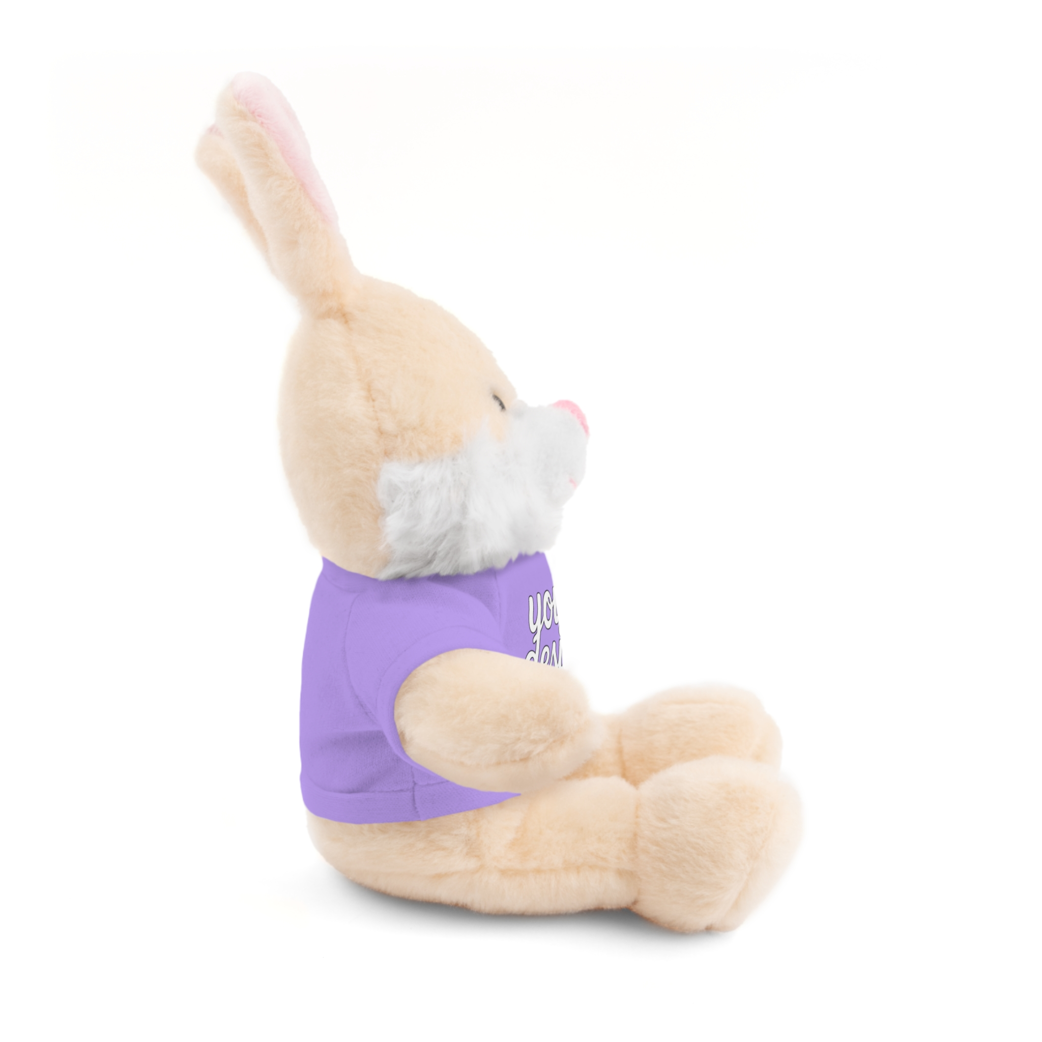 16192375583993789_2048.webp Customizable Stuffed Animals - Personalized Teddy Bear with Tee, Gift for Kids, Birthday, Special Occasions, Cuddly Companion
