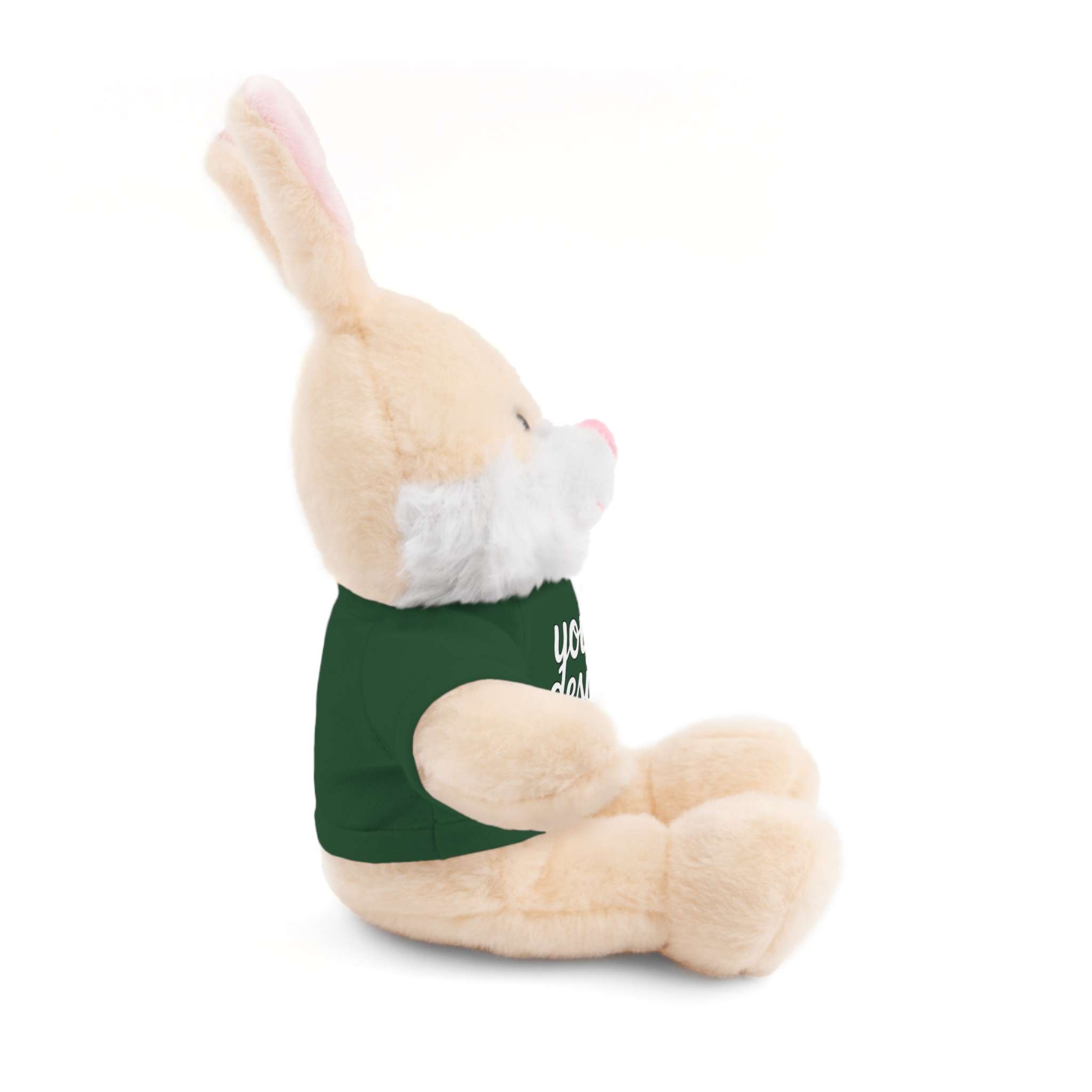 16868952320641440018_2048.jpeg Customizable Stuffed Animals - Personalized Teddy Bear with Tee, Gift for Kids, Birthday, Special Occasions, Cuddly Companion