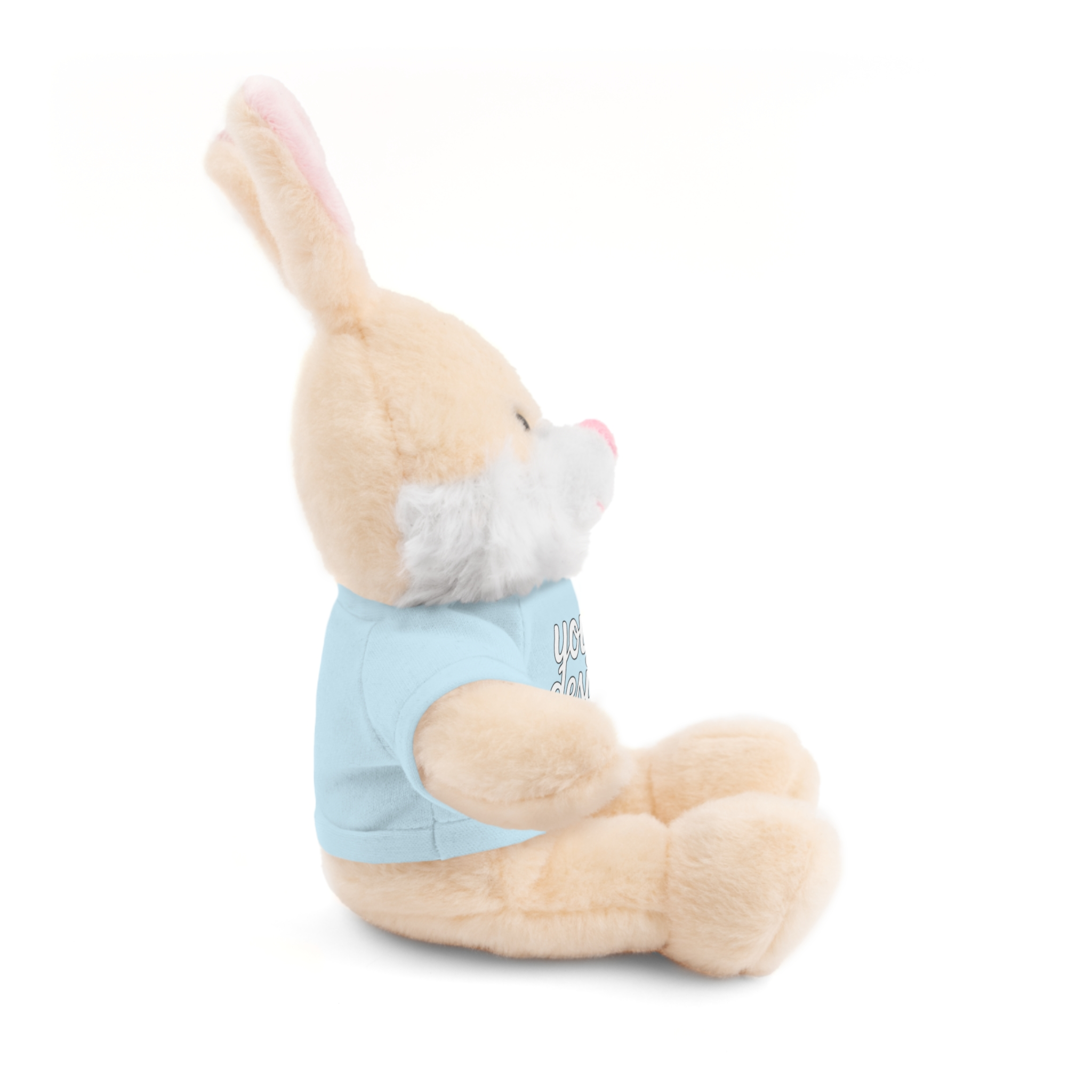 4118281573511819026_2048.webp Customizable Stuffed Animals - Personalized Teddy Bear with Tee, Gift for Kids, Birthday, Special Occasions, Cuddly Companion