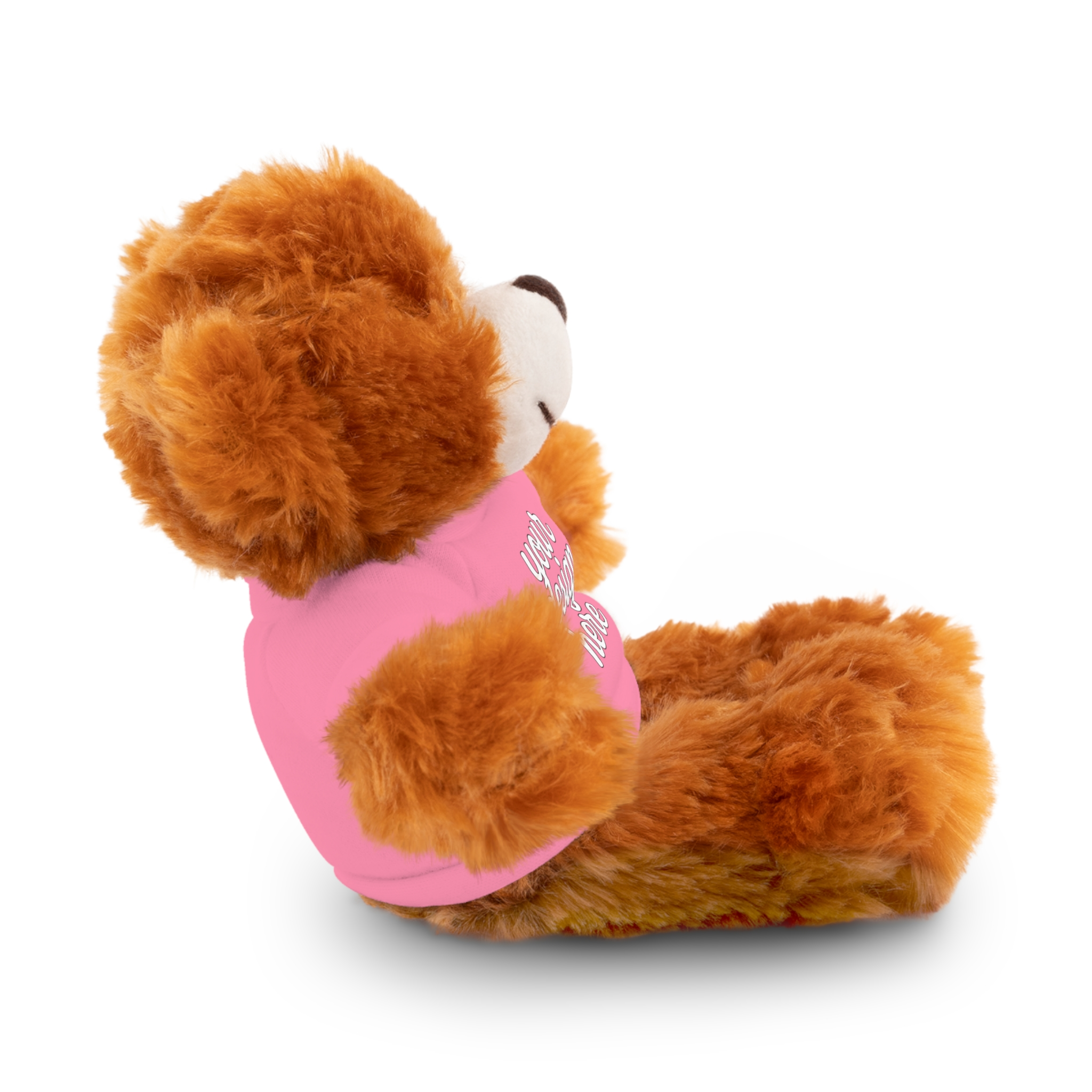 5924163372141624257_2048.webp Customizable Stuffed Animals - Personalized Teddy Bear with Tee, Gift for Kids, Birthday, Special Occasions, Cuddly Companion
