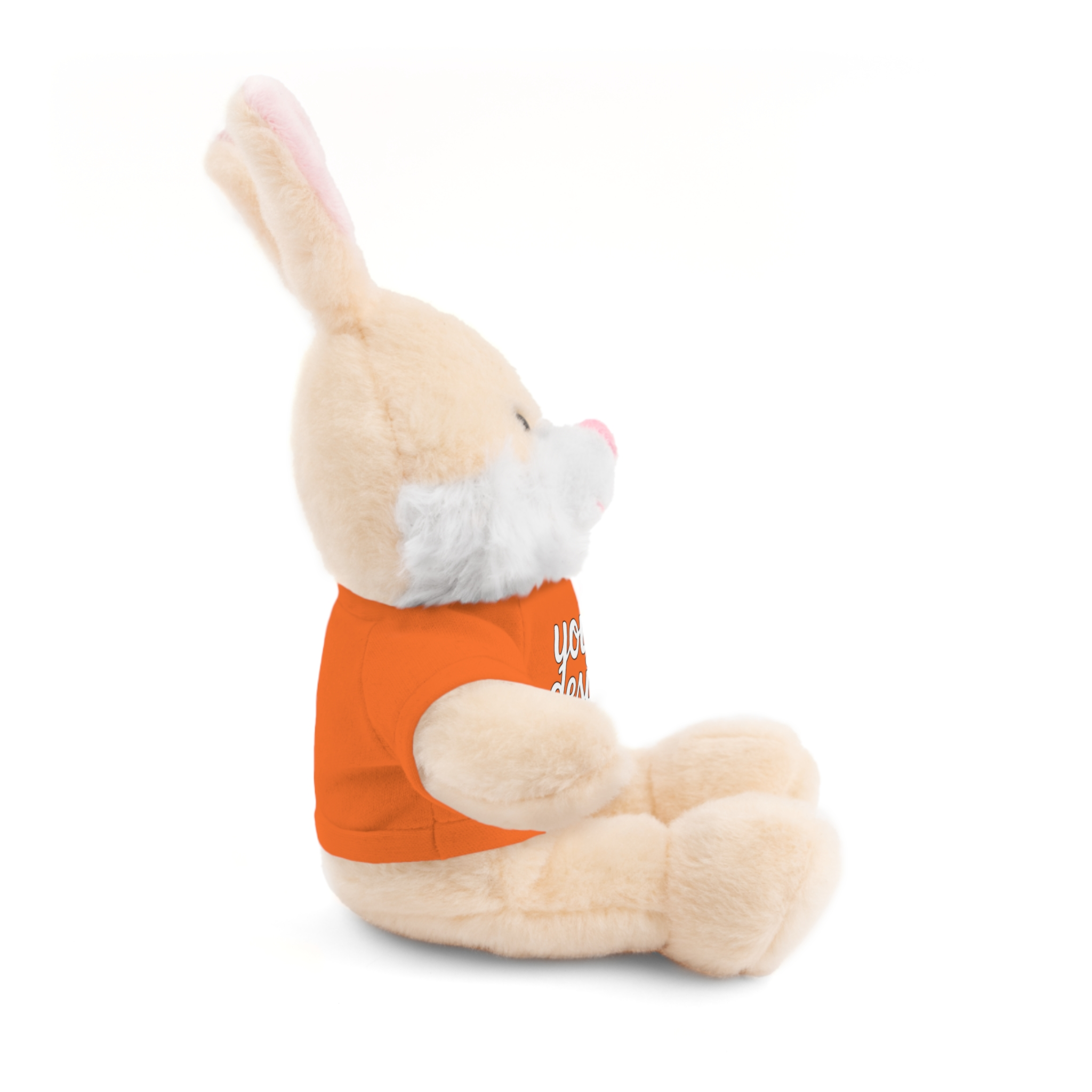 8445290788764149728_2048.webp Customizable Stuffed Animals - Personalized Teddy Bear with Tee, Gift for Kids, Birthday, Special Occasions, Cuddly Companion