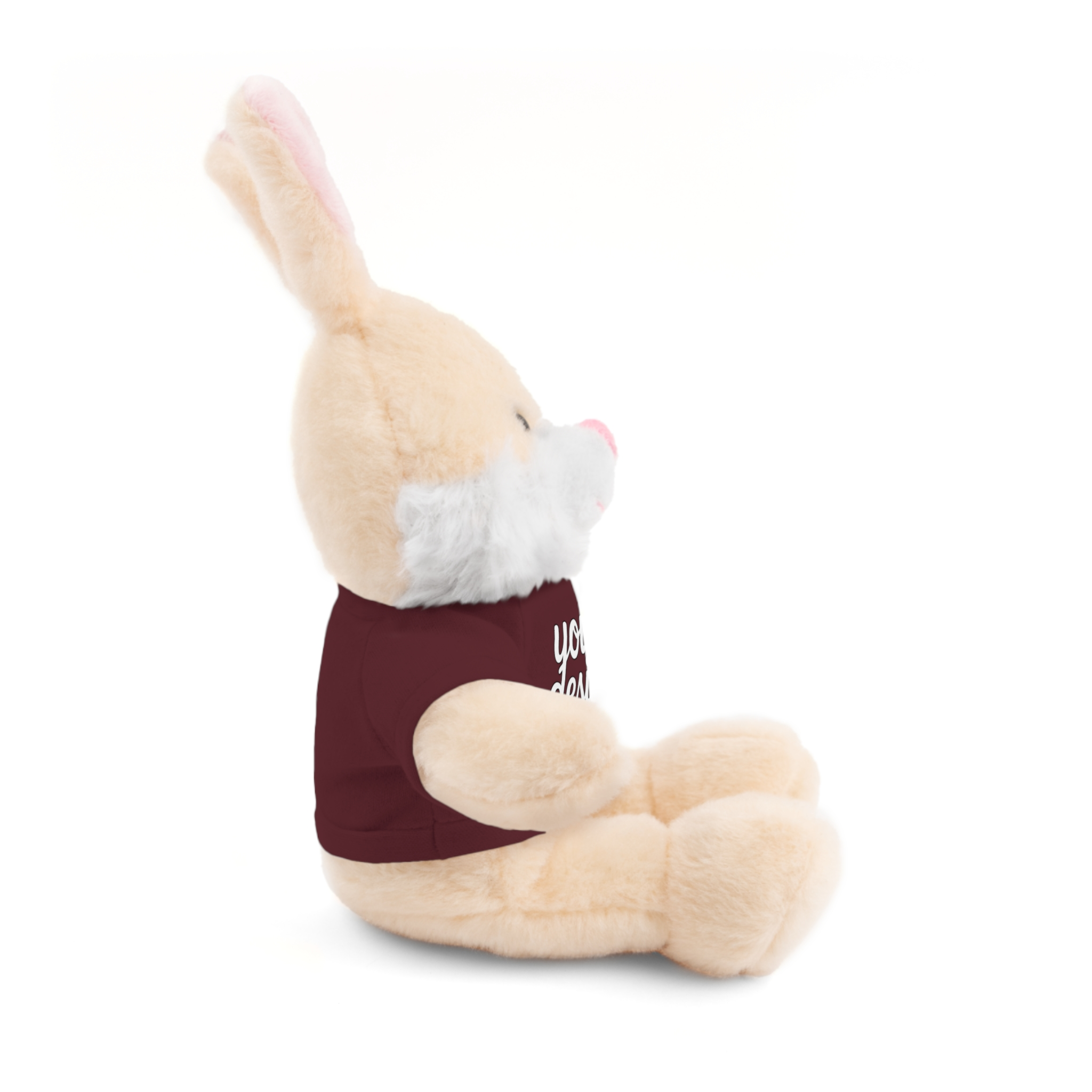 9572895507720106936_2048.webp Customizable Stuffed Animals - Personalized Teddy Bear with Tee, Gift for Kids, Birthday, Special Occasions, Cuddly Companion