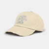 Distressed Cap - District