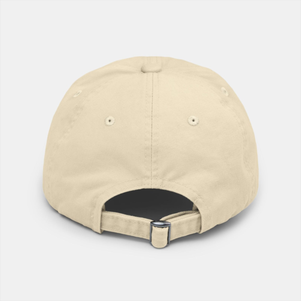 Distressed Cap - District