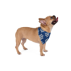 Pet Bandana - Vibrant All-Over Print Design - Evergreen