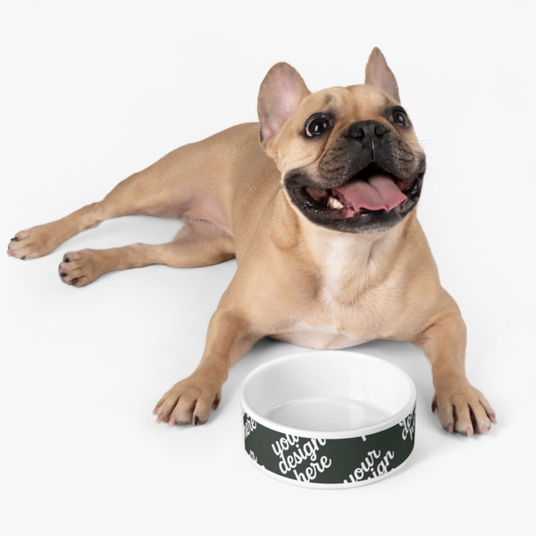 Ceramic Pet Bowl — 16oz Vibrant Glaze Food & Water Bowl